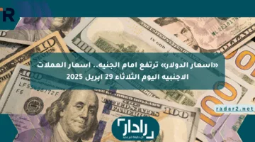 «أسعار الدولار» ترتفع أمام الجنيه.. أسعار العملات الأجنبية اليوم الثلاثاء 29 أبريل 2025